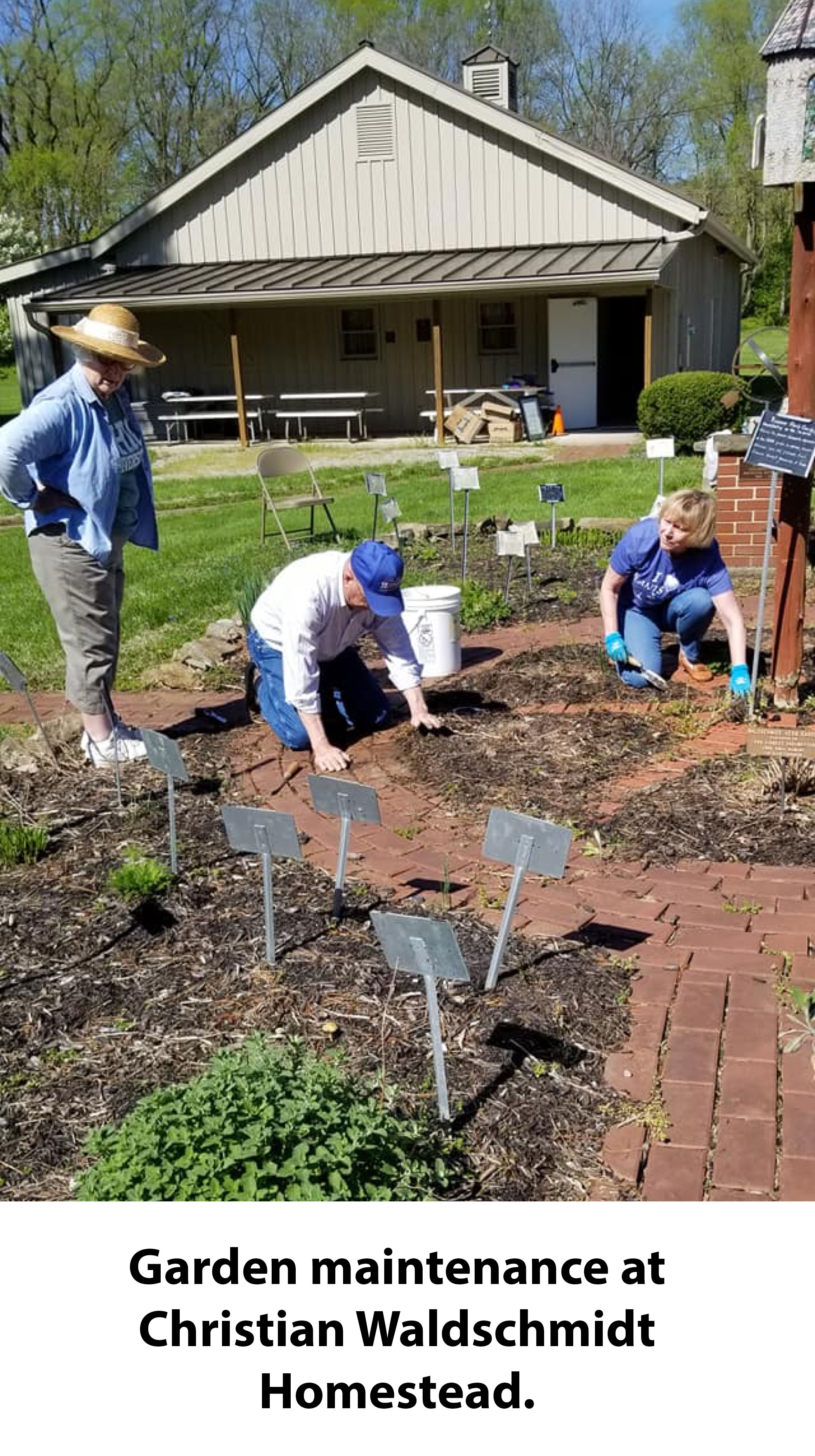 Waldschmidt Garden Maintenance